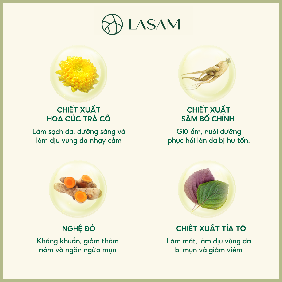 thành phần toner hoa cúc Lasam